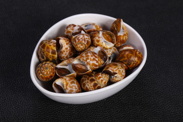Tasty mollusk - spotted Babylon in the bowl