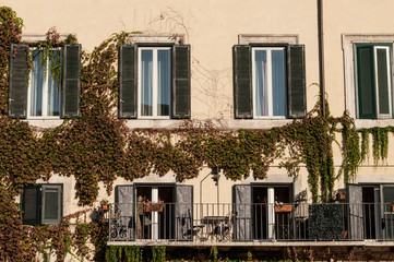 Facade of an old house with hanging plants