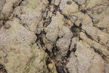 Pattern of stones in northern spain