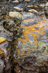 Pattern of stones in northern spain