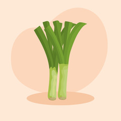 fresh green onion vegetables and healthy nutrition