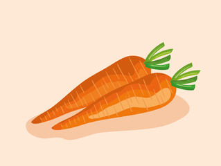 healthy carrots fresh vegetables nutrition