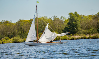 Sail boat racing gala on Wroxham Broad, Norfolk. Male sailor lowers the main sail of his brown boat...