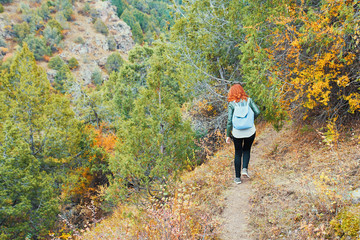 Female hiker walking in mountains forest.