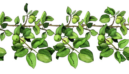 Tree Leaves Apple Branch Report Repeating Pattern watercolor isolated