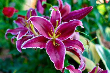 wonderful world around us