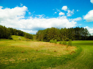 Forest and meadows - Beauty of Kashubia, Poland.