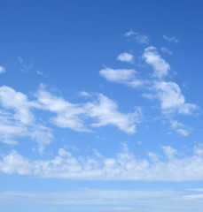 Fototapeta premium Schäfchenwolken am blauen Himmel - Hintergrund
