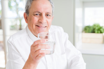 Handsome senior man holding a fresh glass of water and smiling