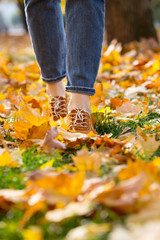 women shoes in autumn foliage