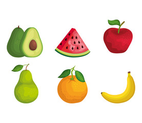 set of organic fruits with nutrition and vitamin