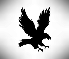 Eagle or hawk silhouette, vector