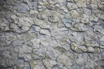 Stone with a beautiful Pattern	