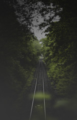 Obraz premium train tracks in forrest 