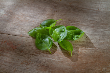basil