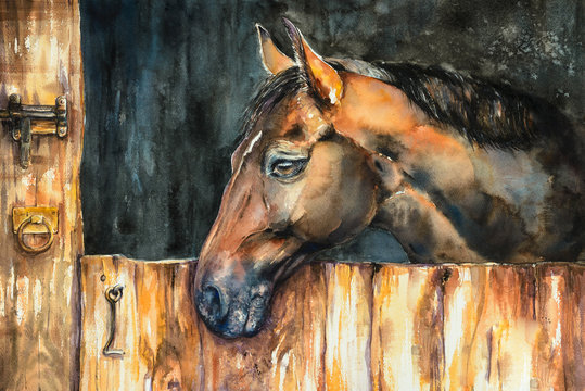 The head of a horse  in stable. Picture created with watercolors.