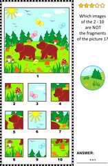 Visual logic puzzle with two little brown bears in the forest: Which images of the 2 - 10 are NOT the fragments of the picture 1?