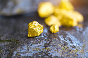 Gold on the stone floor Discovering Success and Investing Concepts with Business Partners.