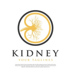 abstract kidney shape vector logo