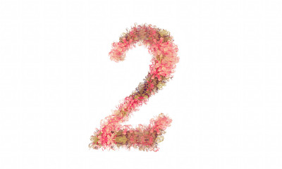 Flower alphabet. Colorful font. Uppercase and lowercase.