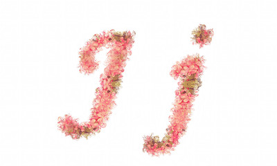 Flower alphabet. Colorful font. Uppercase and lowercase.