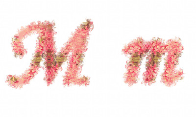 Flower alphabet. Colorful font. Uppercase and lowercase.