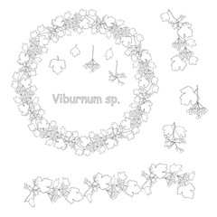 Floral autumn set with cute bunches of black outline viburnum fruits on white. For romantic autumn season design, announcements, greeting cards, posters, advertisement, gardening stock vector illustra