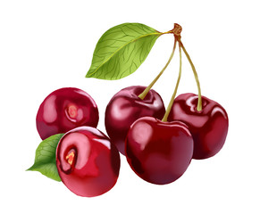 Closeup cherries illustration drawn on a white background. Bright beautiful juicy cherries.