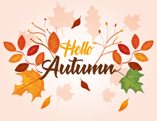 autumn season with branches plants and nature leaves