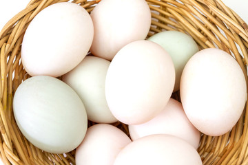 Fresh white eggs in basket isolated on white background.