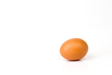 Alone brown egg isolate on white background, Bottom right corner position.