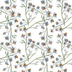 Wildflowers floral botanical flowers. Watercolor background illustration set. Seamless background pattern.