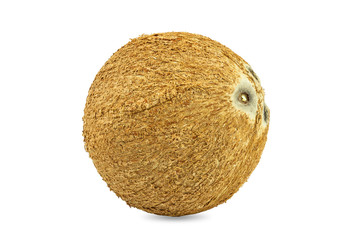 Coconut isolated on a white background.