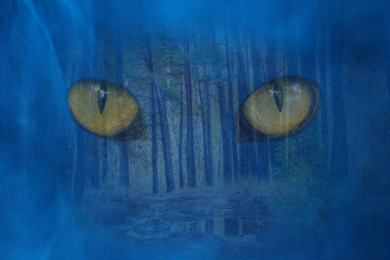Obraz na płótnie Canvas big orange eyes of a wild beast against the background of a forest covered with blue fog