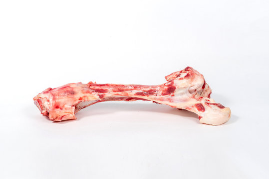 Raw big beef bone for the dog. Isolated on white background. Food for animals. A delicacy for your pet. Bones of cattle. Copy space