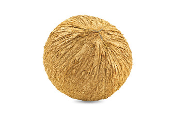 Coconut isolated on a white background.