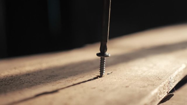 man the worker tightens the screw with a screwdriver. Screws screwdriver twist in wooden board. Joinery and construction work close up. screw lifestyle out the screw