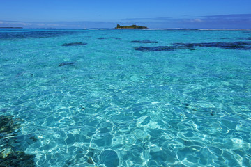 Belize reef