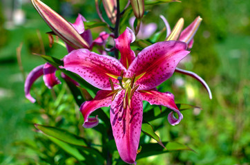 wonderful world around us