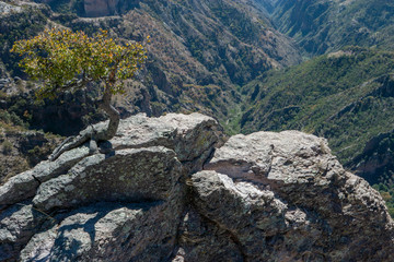 Fototapeta na wymiar Copper Canyon Mexico 