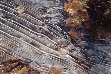 Ice pattern