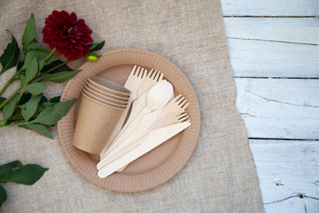 Eco-friendly disposable tableware, paper tableware. dishes for a picnic and camping, dishes, zero plastic, planet preservation, stop plastic