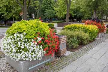 A beautiful european new street city park with bright blooming flower beds, beautiful street lanterns and beautiful sidewalks.