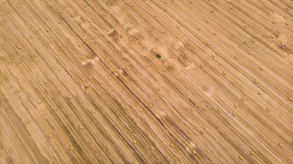 Aerial landscape - cereal fields after the harvest