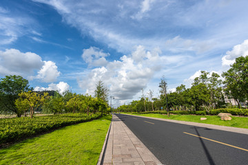 road in park