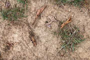 sol extremement sec présentant de nombreuses fissures