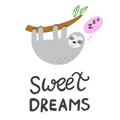 Funny cartoon sloth sleeping with full belly. Cute lazy character vector illustration.