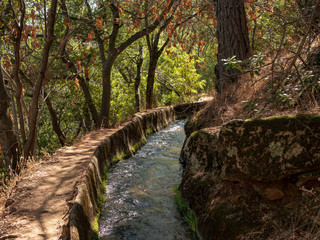 Shirland canal trail, Auburn CA