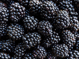 Fresh juicy organic dewberry. Food berry background of ripe blackberries