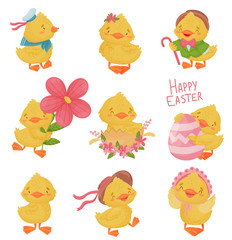 Set of cute yellow ducklings. Vector illustration on a white background.